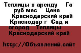 Теплицы в аренду 0,5Га10.000 руб/мес. › Цена ­ 10 000 - Краснодарский край, Краснодар г. Сад и огород » Теплицы   . Краснодарский край